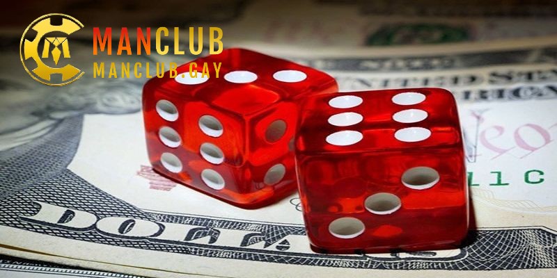 Đồ họa thượng lưu, tốc độ xử lý siêu tốc kịch tính